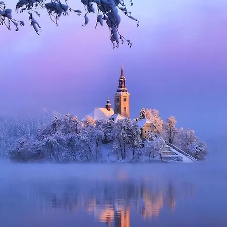 Vacation Old Cherry Vakantiehuis Bled