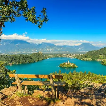 Vacation Old Cherry Vakantiehuis Bled