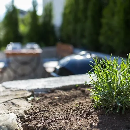 Сasa de vacaciones Vacation Old Cherry