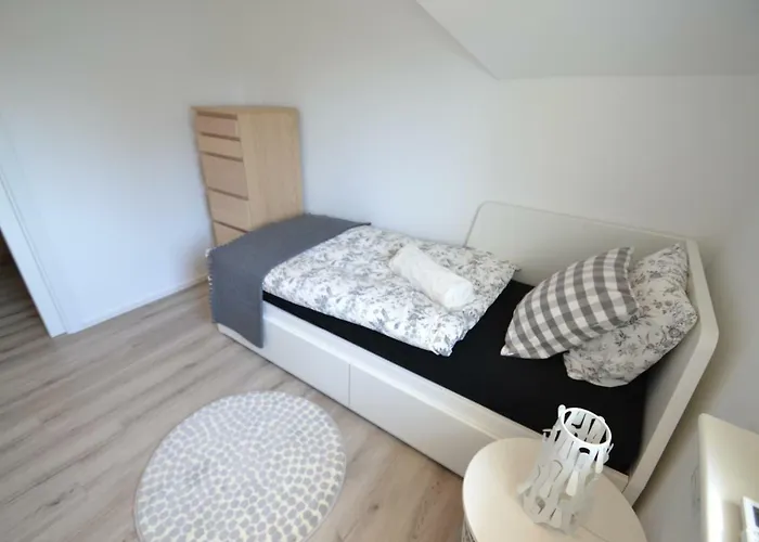 Vacation Old Cherry * בלד