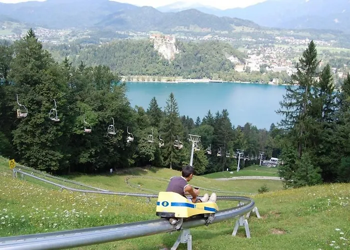 Vacation Old Cherry *