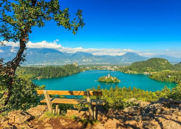 Vacation Old Cherry בית נופש בלד