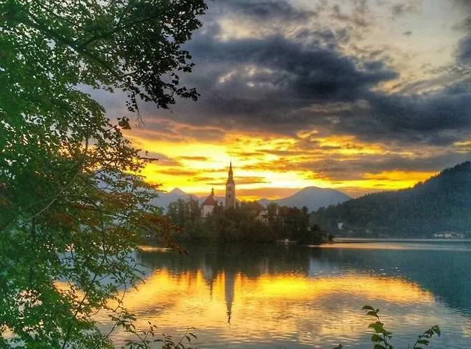 Vacation Old Cherry בית נופש *