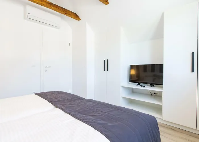 Vacation Old Cherry בלד