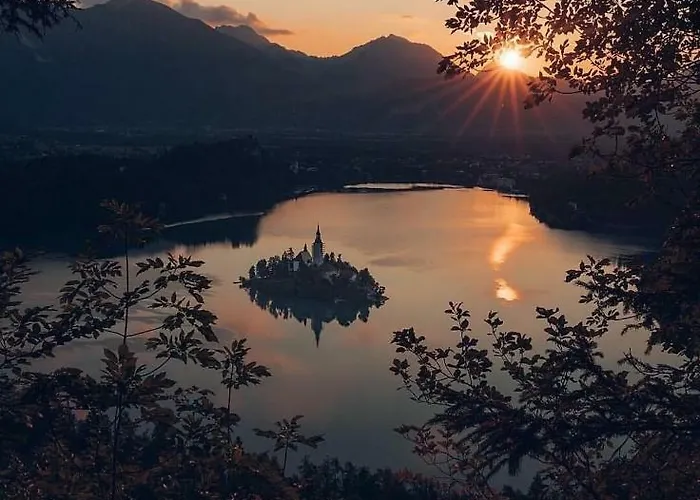 Vacation Old Cherry בית נופש